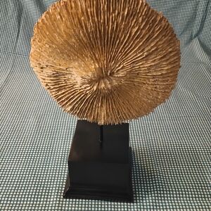 Natural Coral Art Sculpture on Black Stand